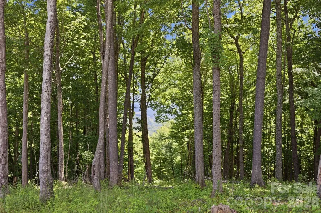 Lot 64 Poplar Forest Drive Boone NC 28607