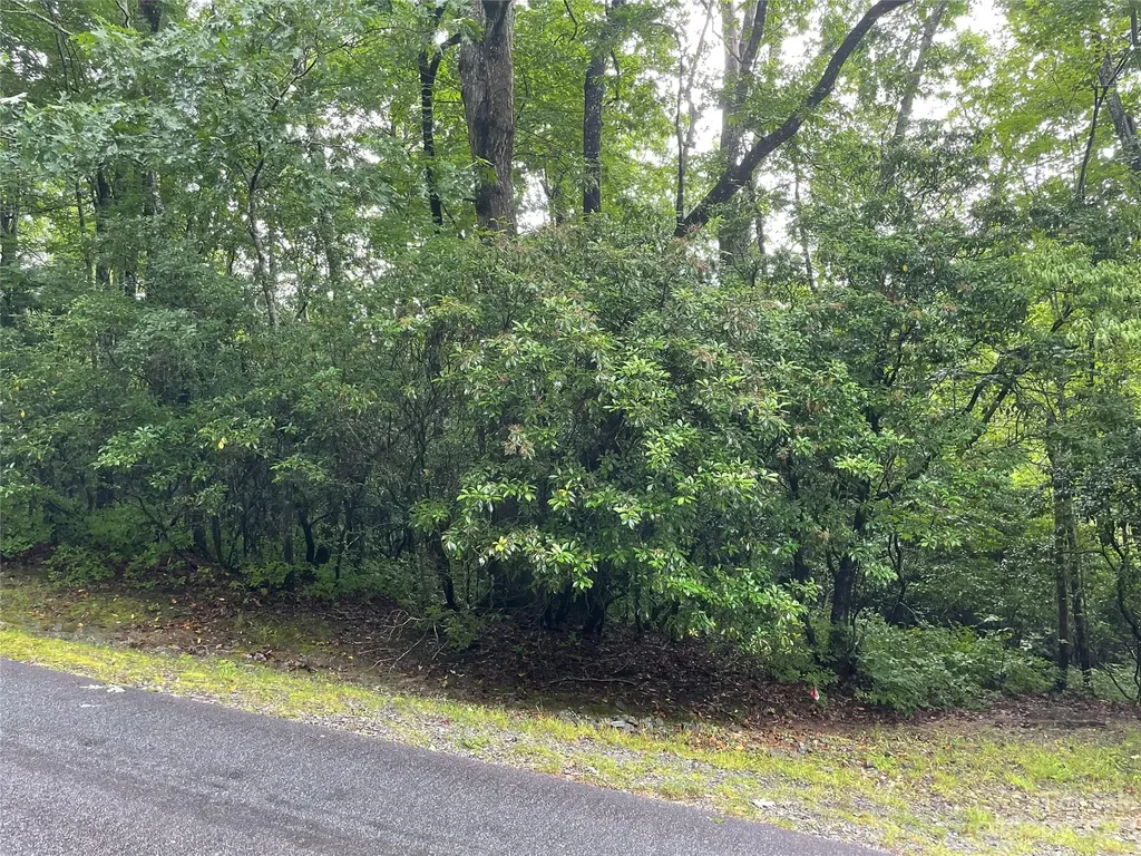 Tbd Tellico Trail Brevard NC 28712