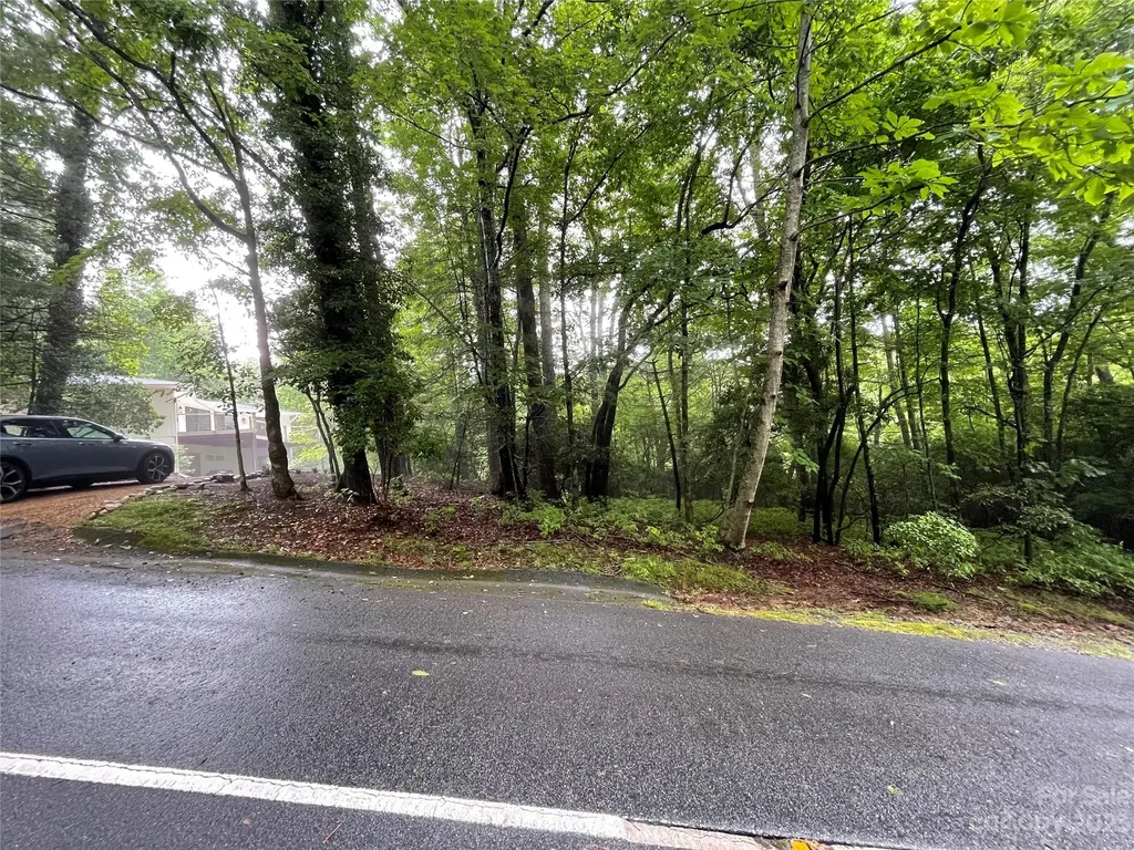 Tbd Tellico Trail Brevard NC 28712