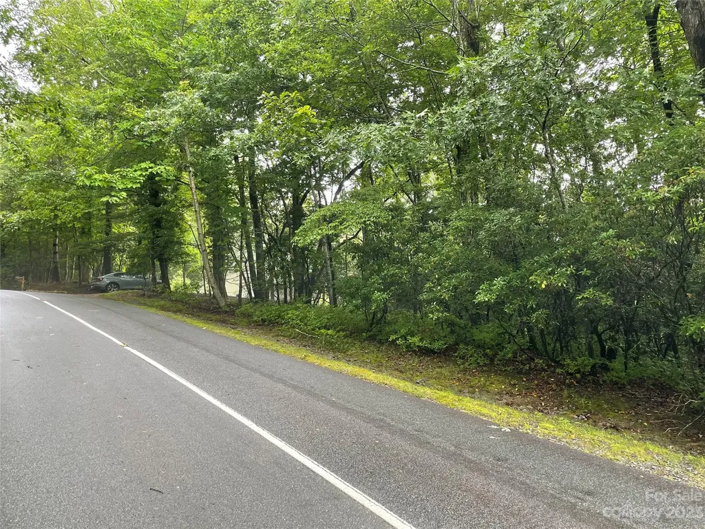 Tbd Tellico Trail Brevard NC 28712