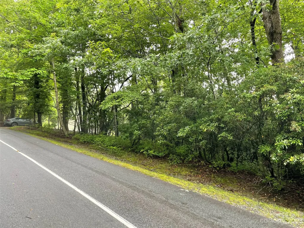 Tbd Tellico Trail Brevard NC 28712