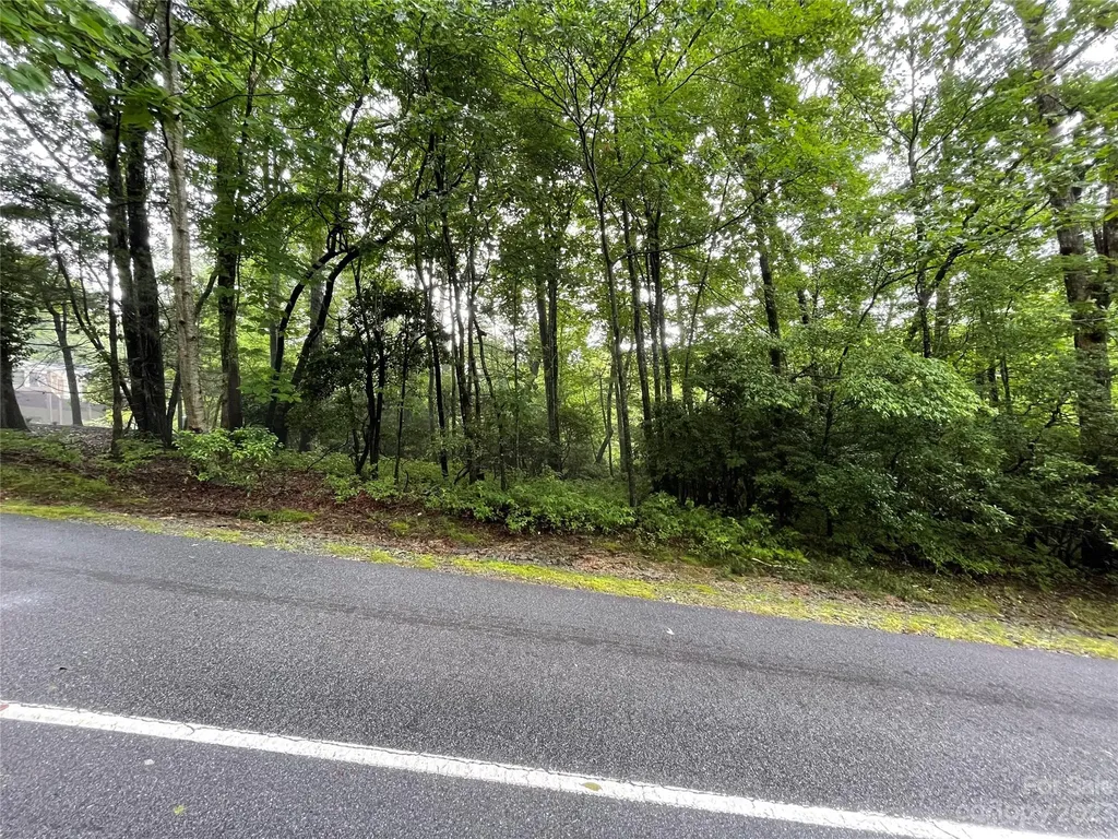Tbd Tellico Trail Brevard NC 28712