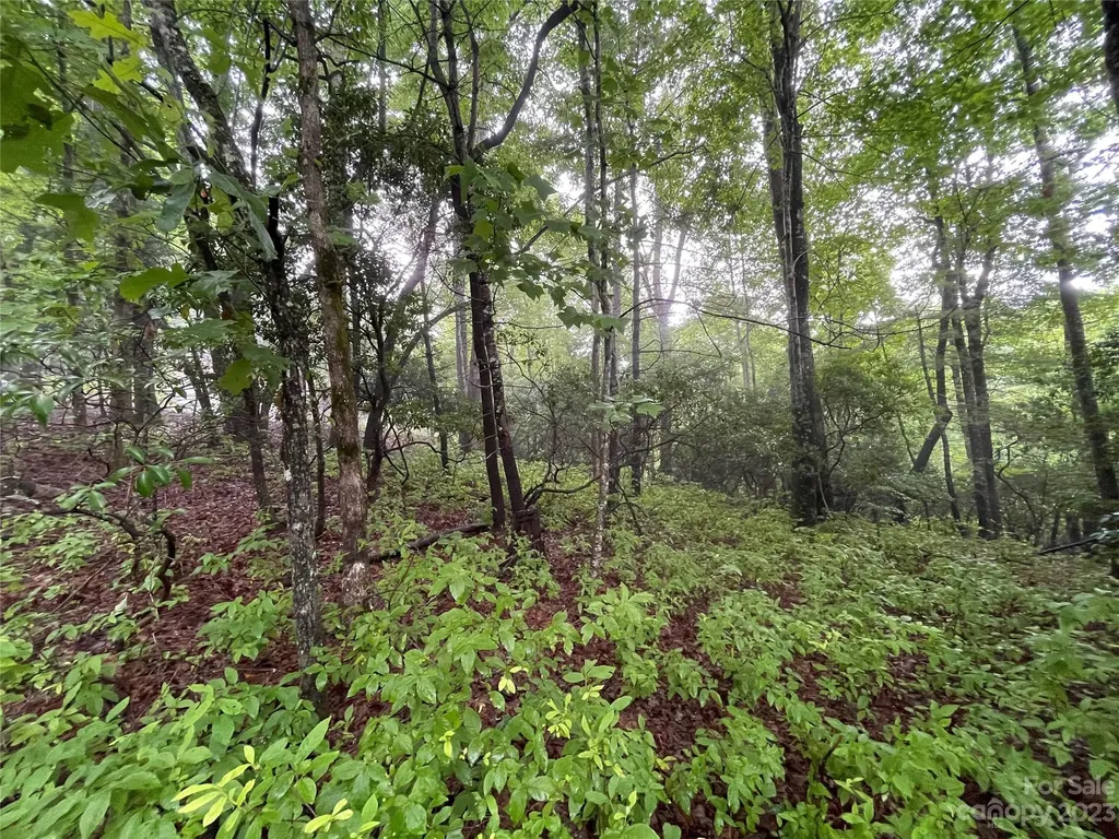 Tbd Tellico Trail Brevard NC 28712