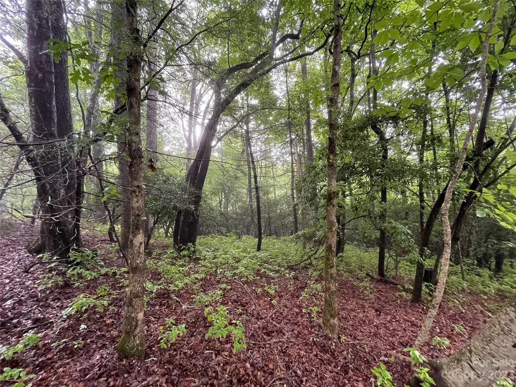 Tbd Tellico Trail Brevard NC 28712