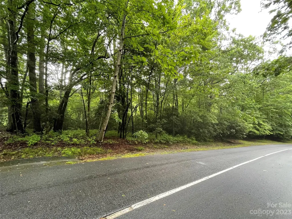 Tbd Tellico Trail Brevard NC 28712