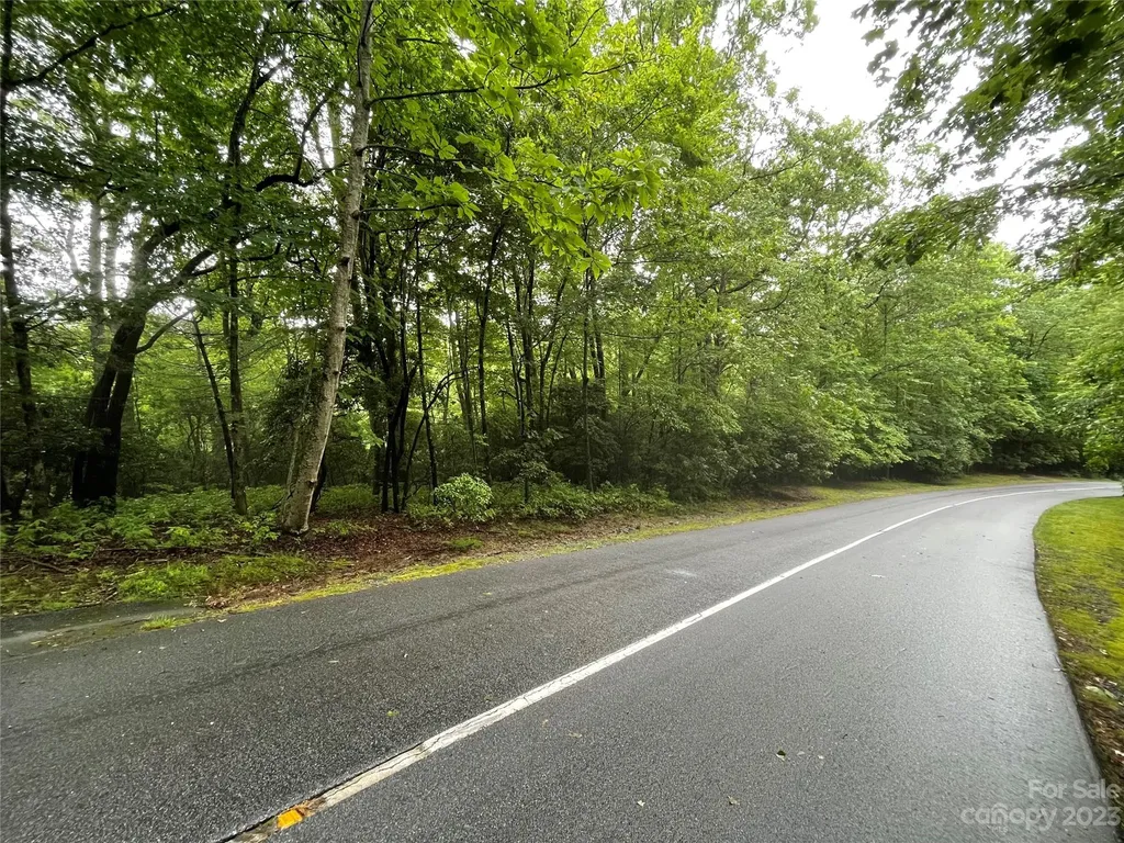 Tbd Tellico Trail Brevard NC 28712