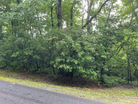 Tbd Tellico Trail Brevard NC 28712