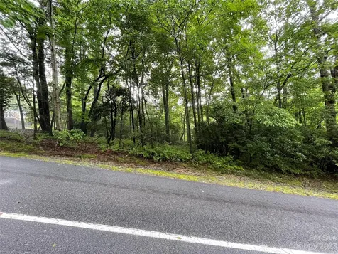 Tbd Tellico Trail Brevard NC 28712