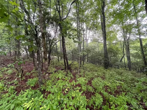 Tbd Tellico Trail Brevard NC 28712