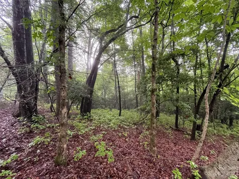 Tbd Tellico Trail Brevard NC 28712