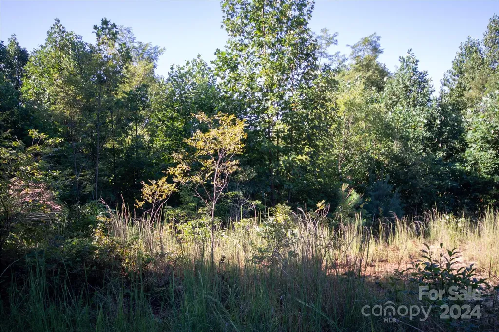 Lot# 134 Fire Crest Lane Lenoir NC 28645