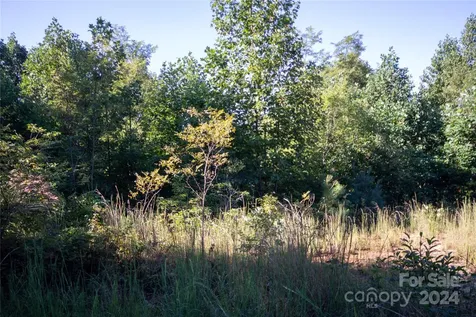 Lot# 134 Fire Crest Lane Lenoir NC 28645