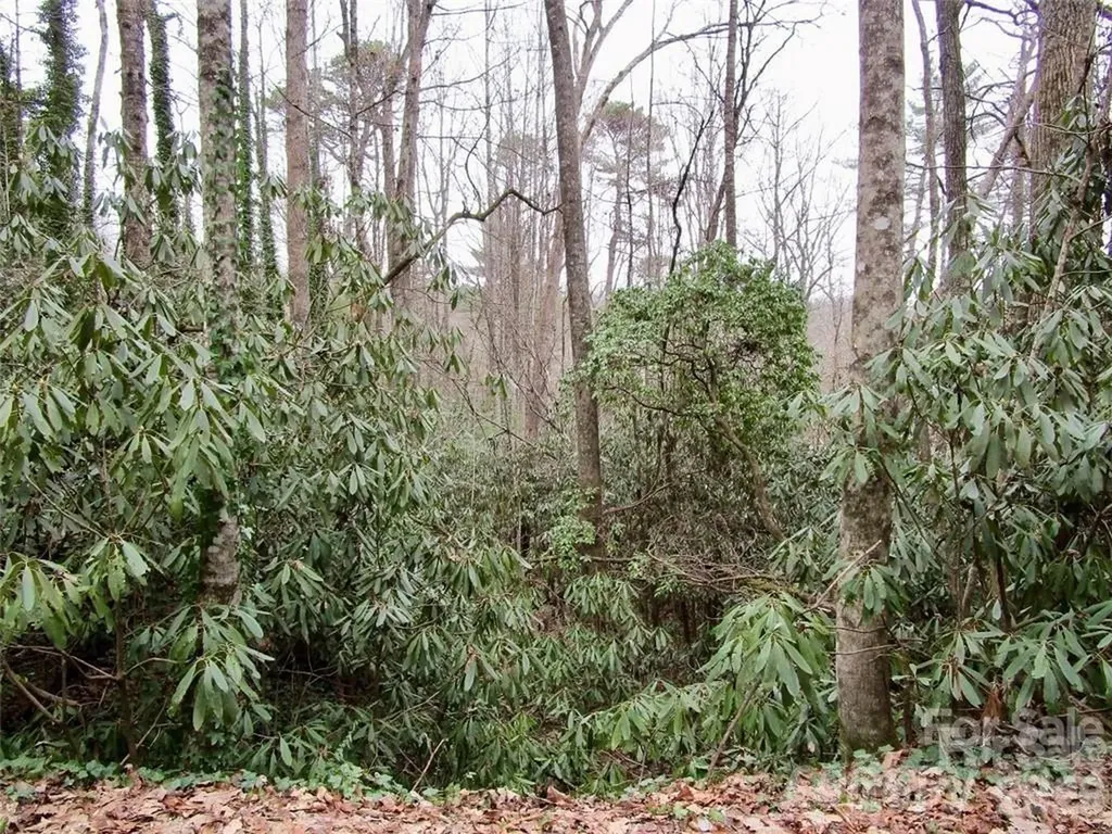 Lot #22 Toxaway Falls Drive Lake Toxaway NC 28747