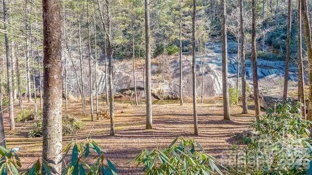 Lot #22 Toxaway Falls Drive Lake Toxaway NC 28747