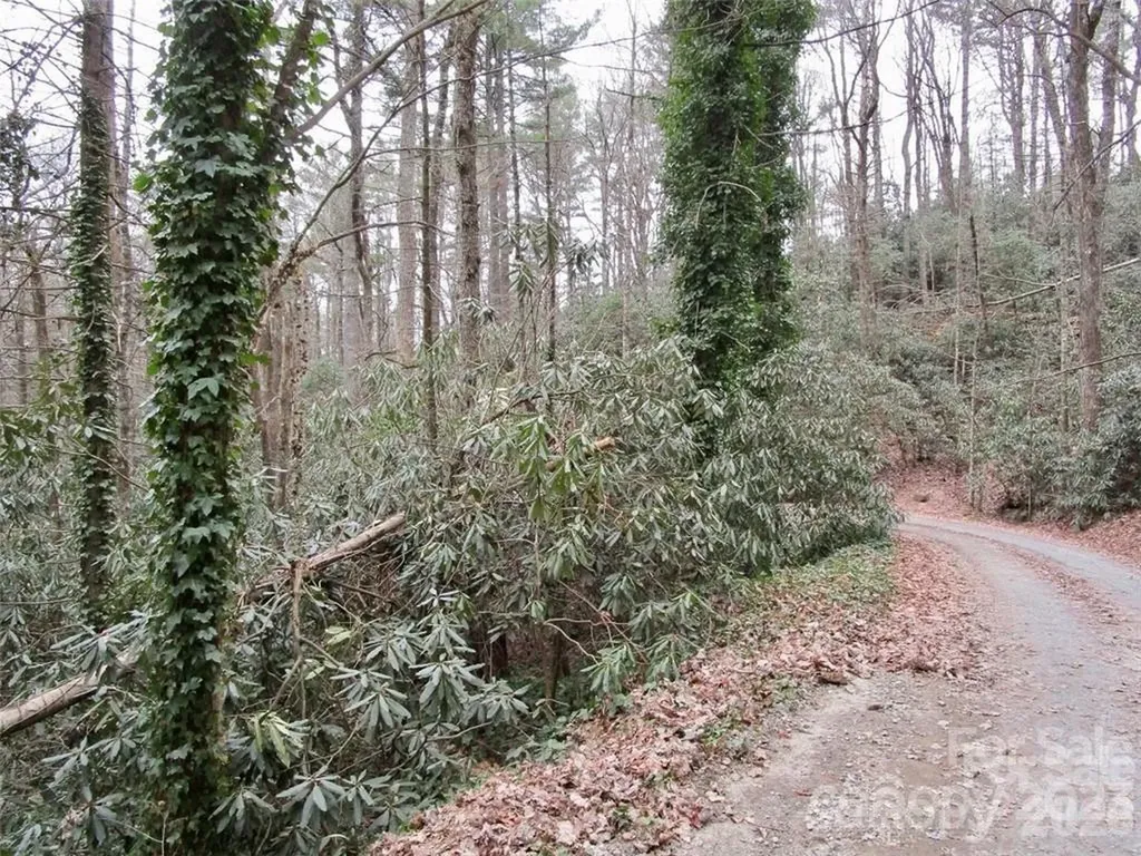 Lot #22 Toxaway Falls Drive Lake Toxaway NC 28747