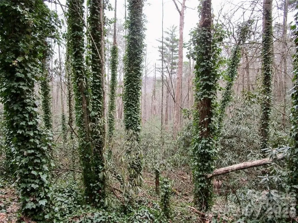 Lot #22 Toxaway Falls Drive Lake Toxaway NC 28747
