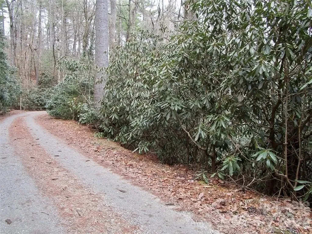 Lot #22 Toxaway Falls Drive Lake Toxaway NC 28747