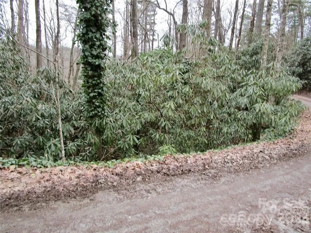 Lot #22 Toxaway Falls Drive Lake Toxaway NC 28747