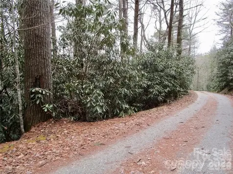 Lot #22 Toxaway Falls Drive Lake Toxaway NC 28747