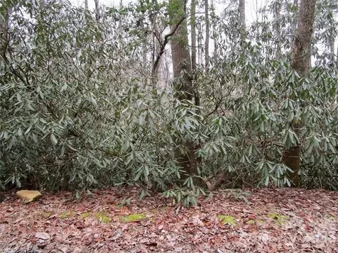 Lot #22 Toxaway Falls Drive Lake Toxaway NC 28747