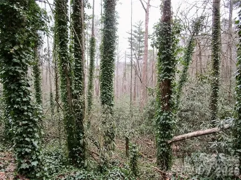 Lot #22 Toxaway Falls Drive Lake Toxaway NC 28747