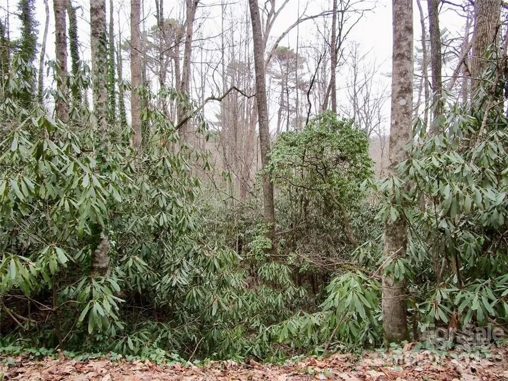Lot #21 Toxaway Falls Drive Lake Toxaway NC 28747