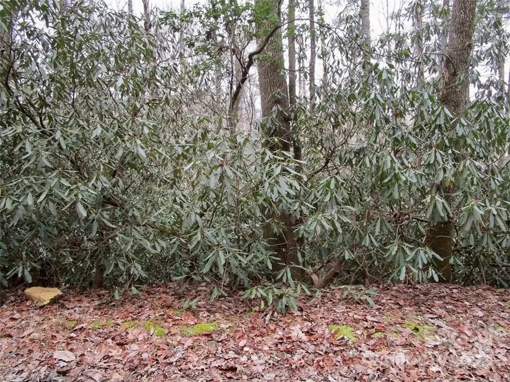 Lot #21 Toxaway Falls Drive Lake Toxaway NC 28747