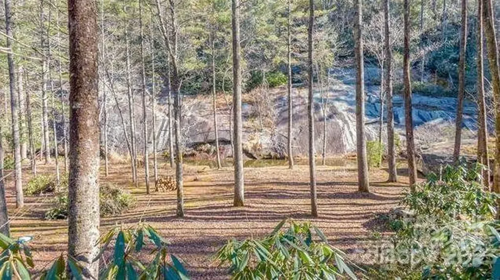 Lot #21 Toxaway Falls Drive Lake Toxaway NC 28747