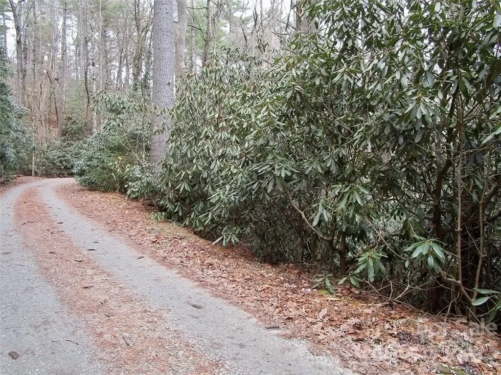 Lot #21 Toxaway Falls Drive Lake Toxaway NC 28747