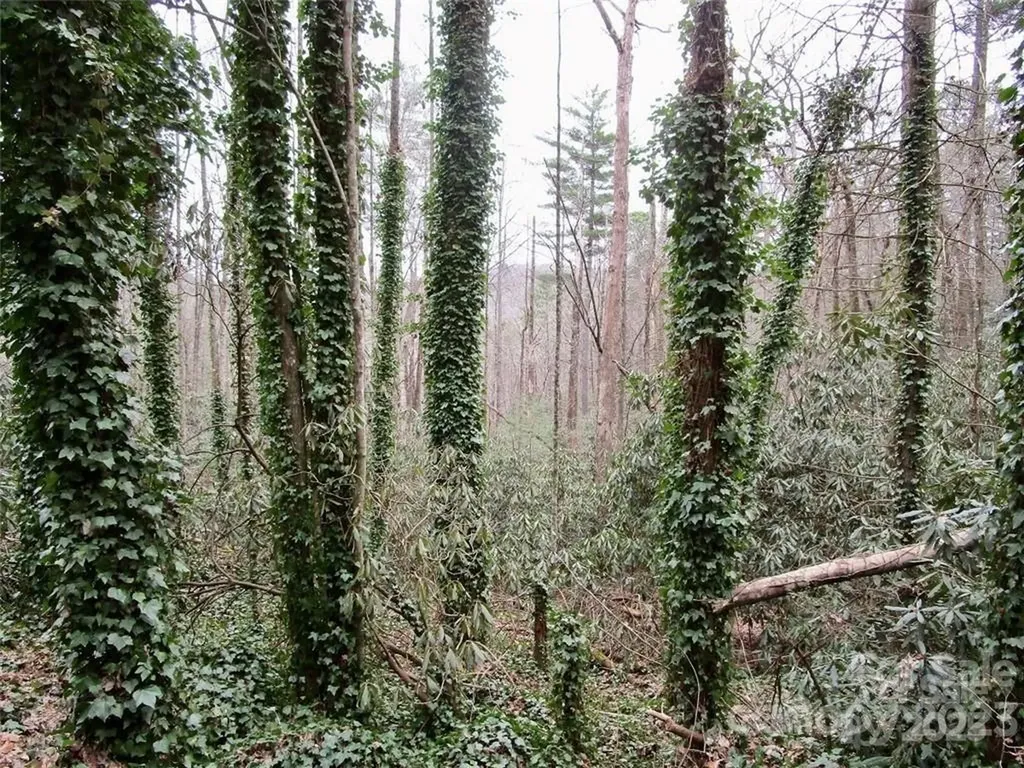 Lot #21 Toxaway Falls Drive Lake Toxaway NC 28747