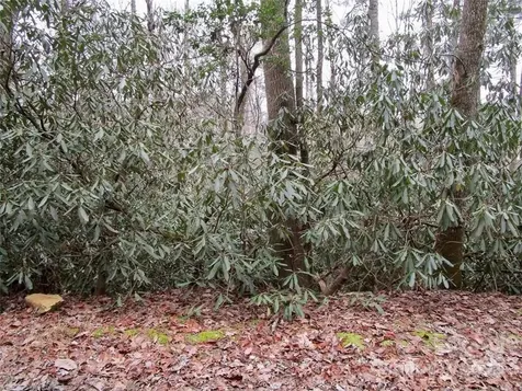 Lot #21 Toxaway Falls Drive Lake Toxaway NC 28747