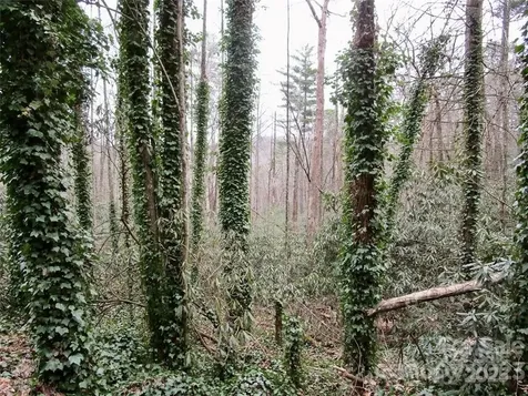 Lot #21 Toxaway Falls Drive Lake Toxaway NC 28747