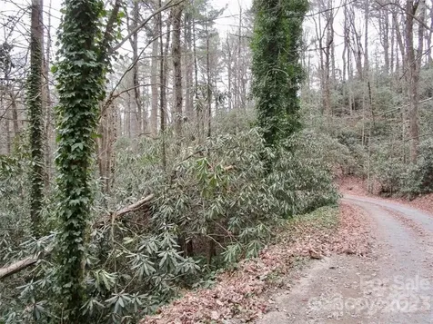 Lot #21 Toxaway Falls Drive Lake Toxaway NC 28747