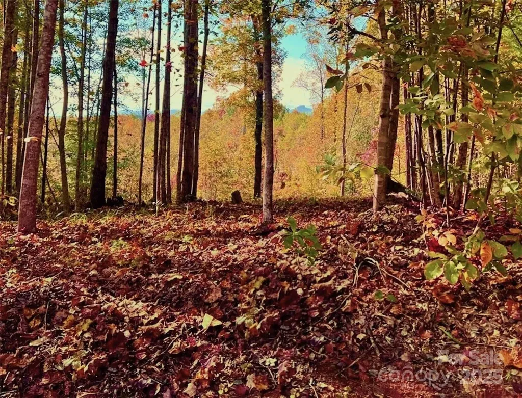 1.85 Acres, Lot 925 High Valley Way Lenoir NC 28645