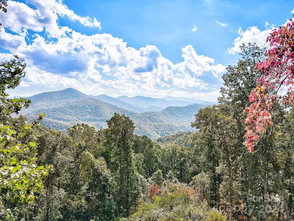 000 High Rock View Drive Canton NC 28716