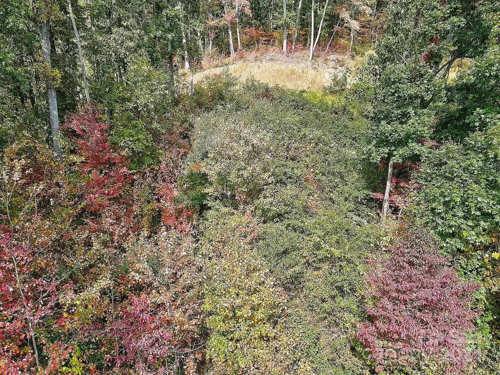 000 High Rock View Drive Canton NC 28716