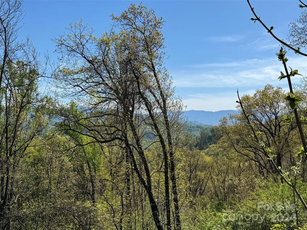000 High Rock View Drive Canton NC 28716
