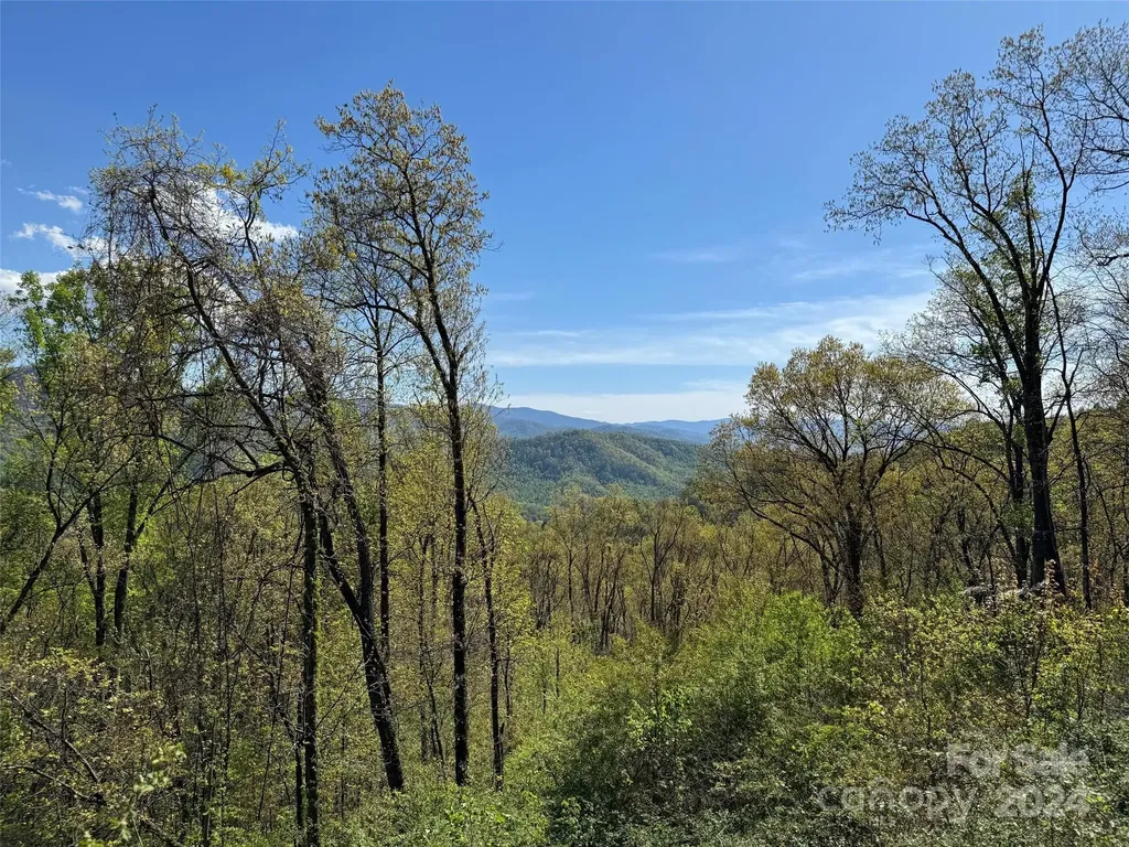 000 High Rock View Drive Canton NC 28716