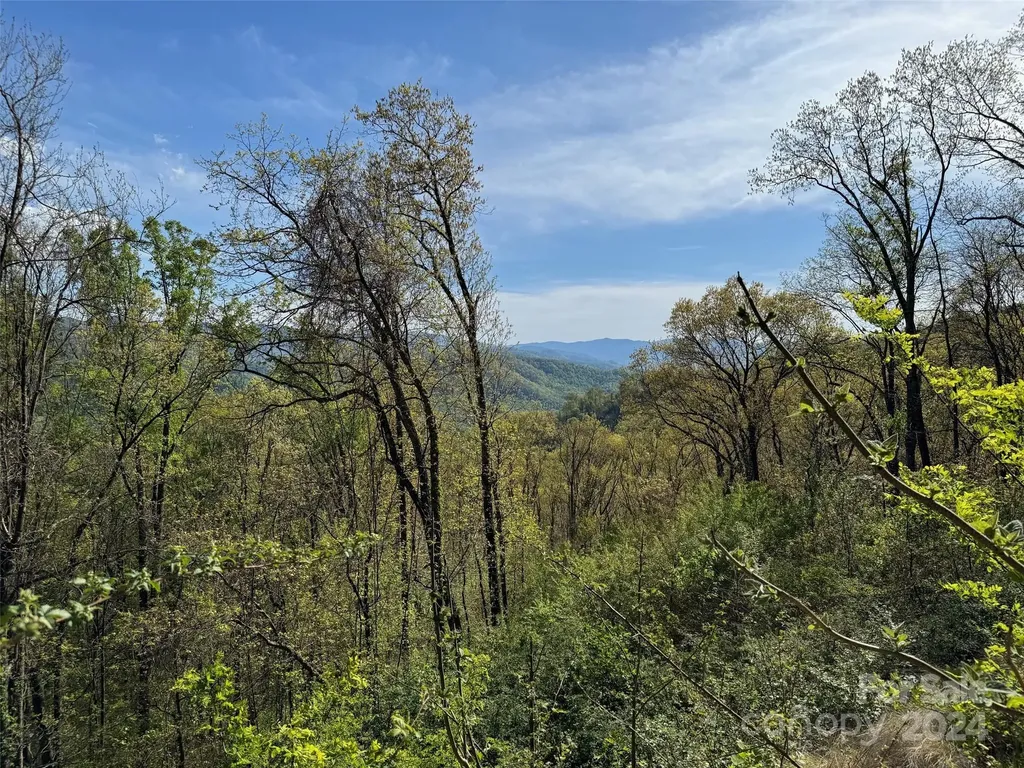 000 High Rock View Drive Canton NC 28716