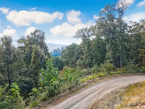 000 High Rock View Drive Canton NC 28716