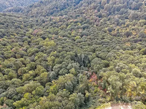 000 High Rock View Drive Canton NC 28716