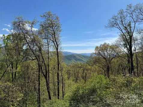 000 High Rock View Drive Canton NC 28716
