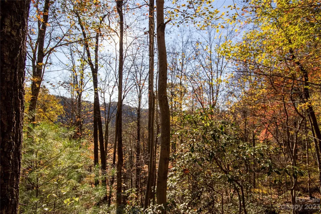 Lot# 547 Autumn Ridge Lenoir NC 28645