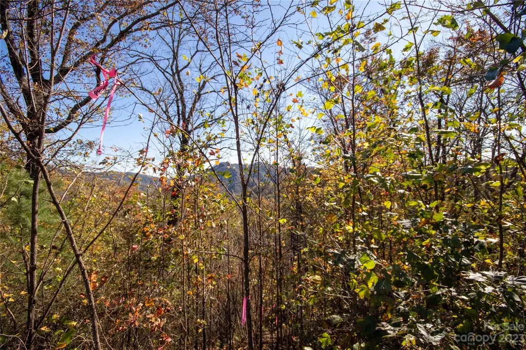 Lot# 547 Autumn Ridge Lenoir NC 28645