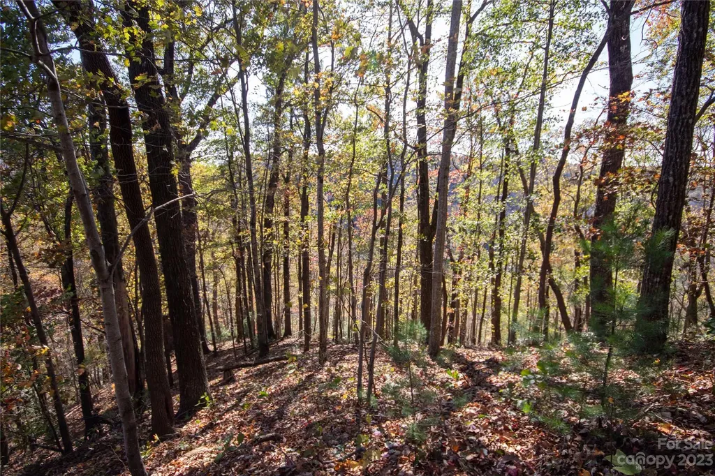 Lot# 547 Autumn Ridge Lenoir NC 28645