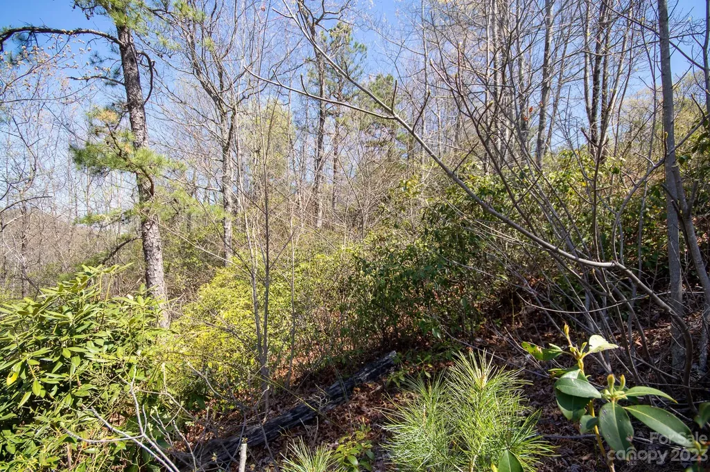 Lot# 513 Fire Crest Lane Lenoir NC 28645
