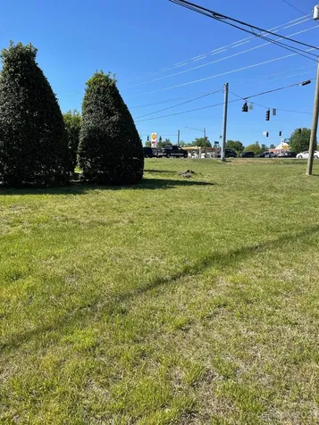 123 Francis Road Hendersonville NC 28792