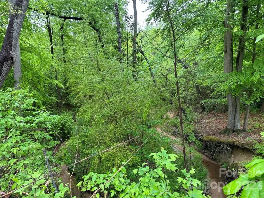0 Phillips Street Landis NC 28088
