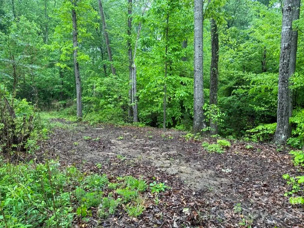 0 N Chapel Street Landis NC 28088