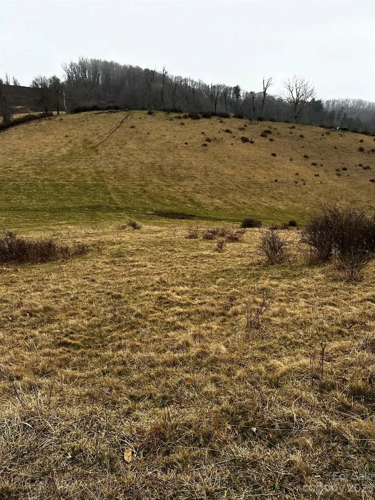 Tbd Poplar Grove Road Boone NC 28607
